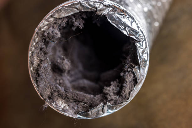 Best Affordable Air Duct Cleaning  in Lovington, NM