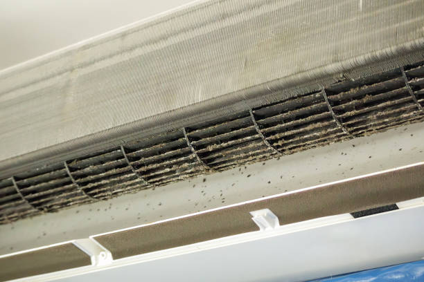 Best Emergency Air Duct Cleaning  in Lovington, NM