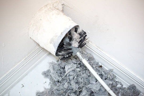 Best Air Duct Cleaning Near Me  in Lovington, NM